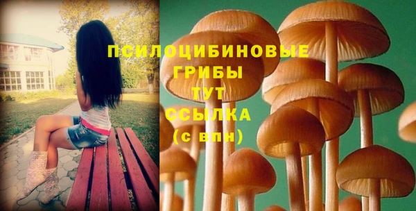 крисы Балабаново