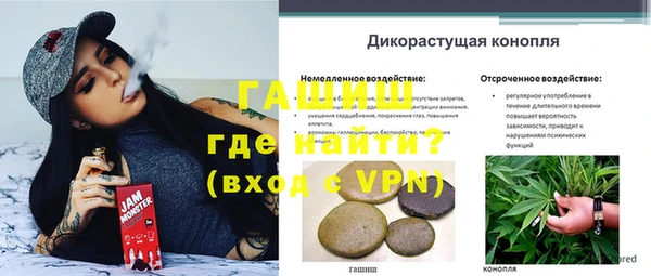 гашик Баксан