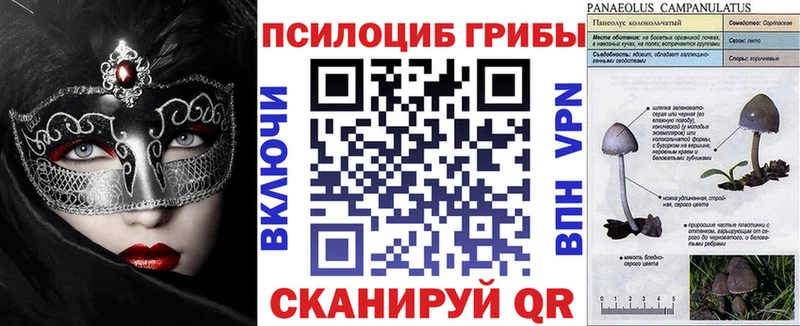 kraken   Заречный  Галлюциногенные грибы Psilocybe 